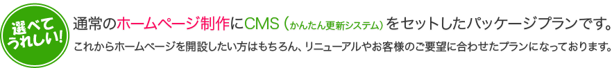 通常のホームページ制作にCMS（かんたん更新システム）をセットしたパッケージプランです。これからホームページを開設したい方はもちろん、リニューアルやお客様のご要望に合わせたプランになっております。