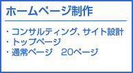 ホームページ制作プロフェッショナルパック ９０万円