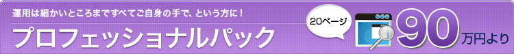 運用は細かいところまですべてご自身の手で、という方に！プロフェッショナルパック ９０万円より