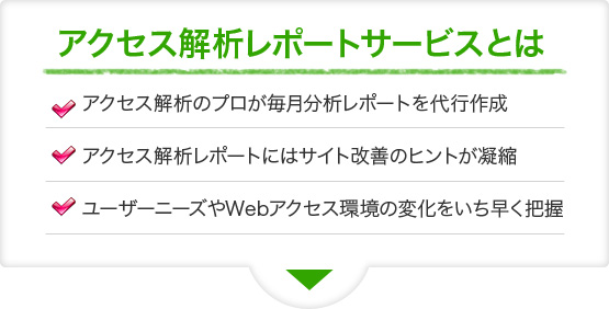 アクセス解析レポートサービスとは　アクセス解析のプロが毎月分析レポートを代行作成　アクセス解析レポートにはサイト改善のヒントが凝縮　ユーザーニーズやWebアクセス環境の変化をいち早く把握